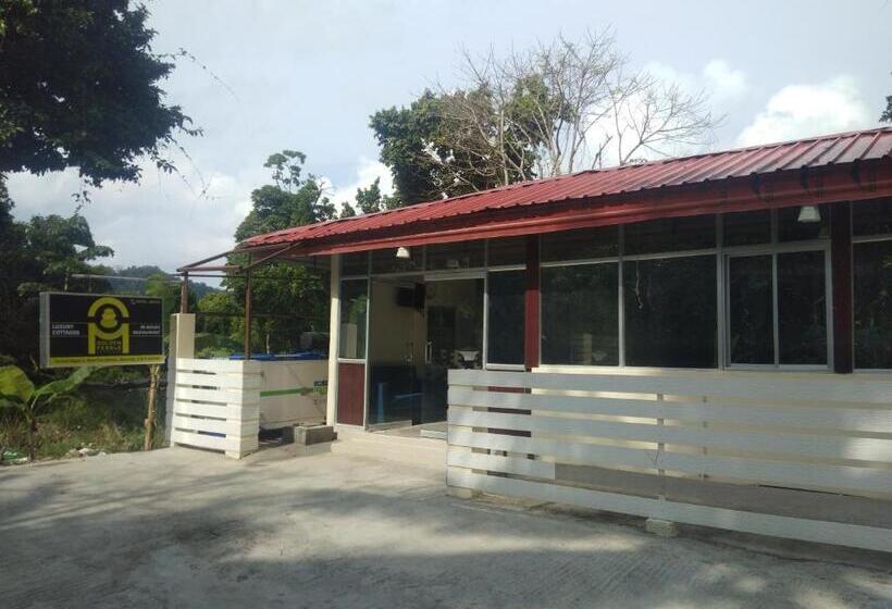 ホテル Golden Pebble