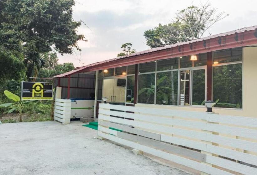 ホテル Golden Pebble