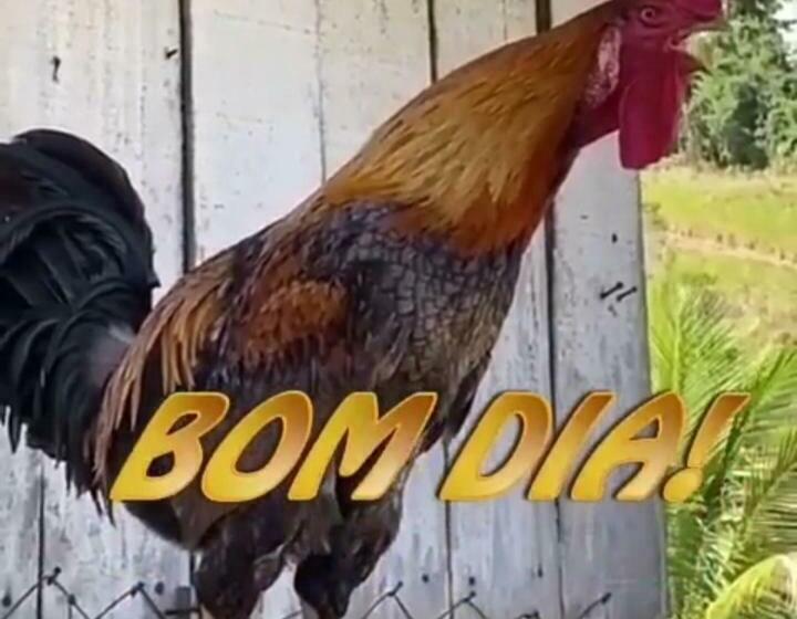 فندق Pousada Vila Sol Maior