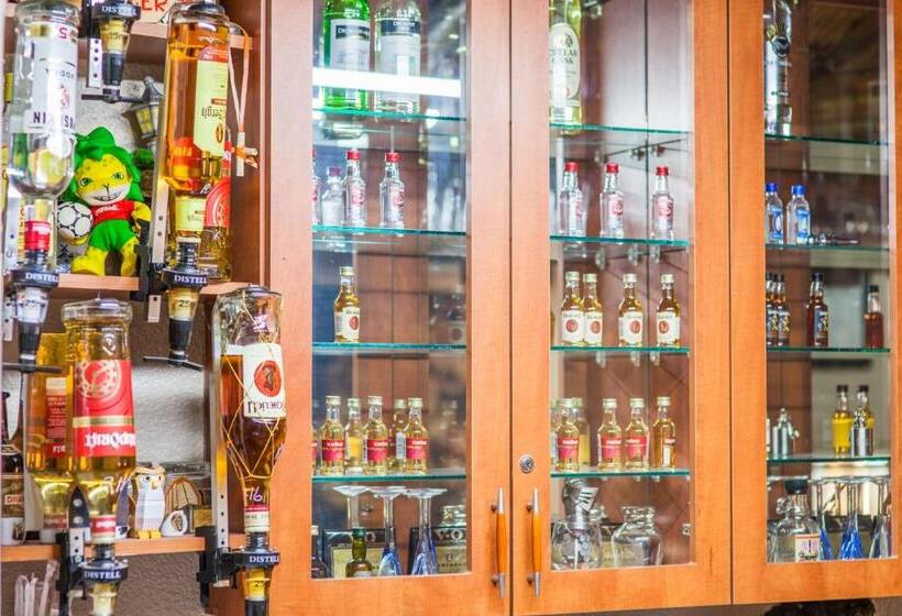 פנסיון Marle  Lodge