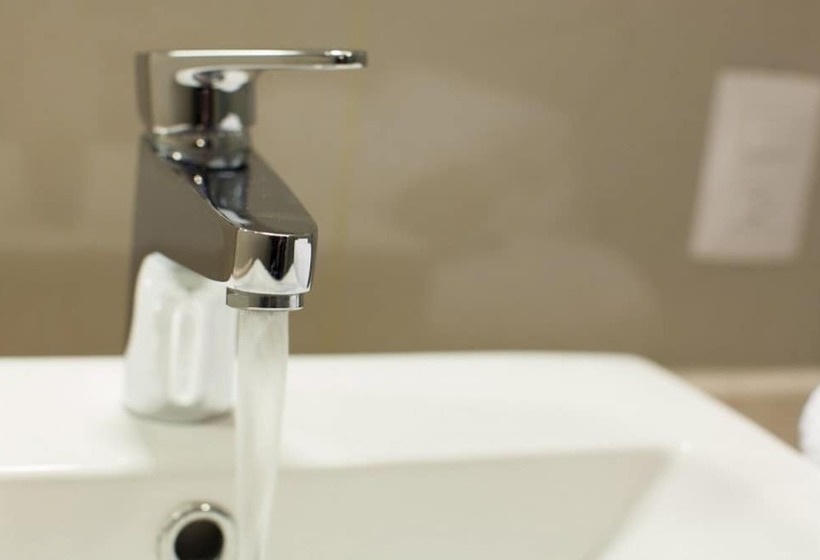 בית מלון כפרי Concordia