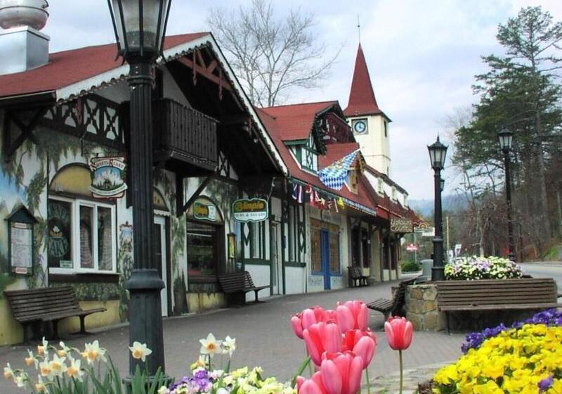 فندق Fairfield Inn & Suites By Marriott Helen