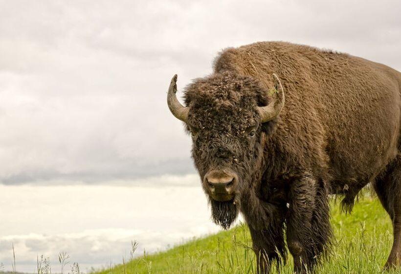 هتل Residence Inn By Marriott Big Sky/the Wilson