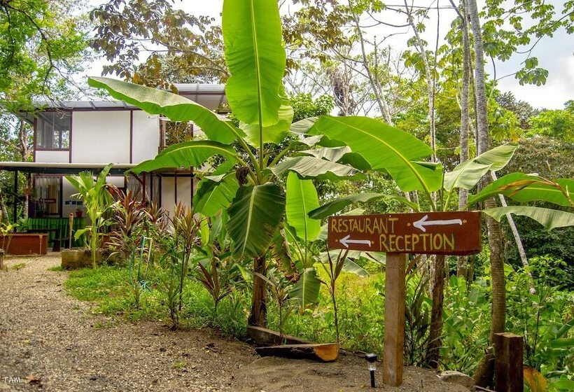 Osa Jungle Hostel