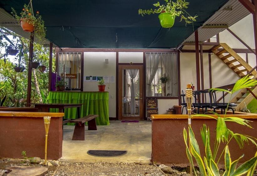 Osa Jungle Hostel