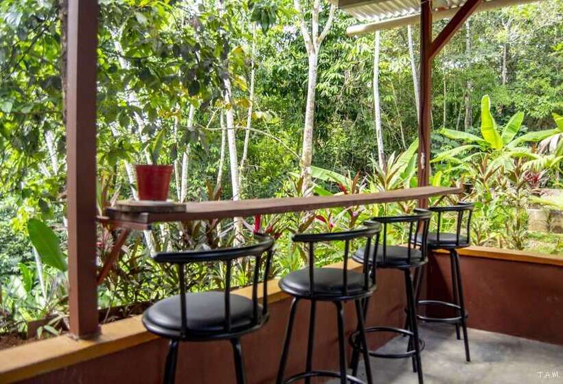Osa Jungle Hostel
