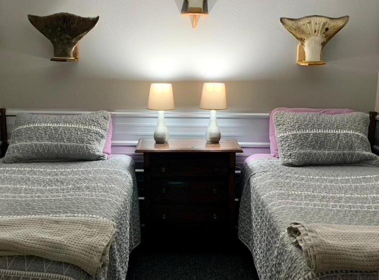 فندق صغير Clam Gulch Lodge