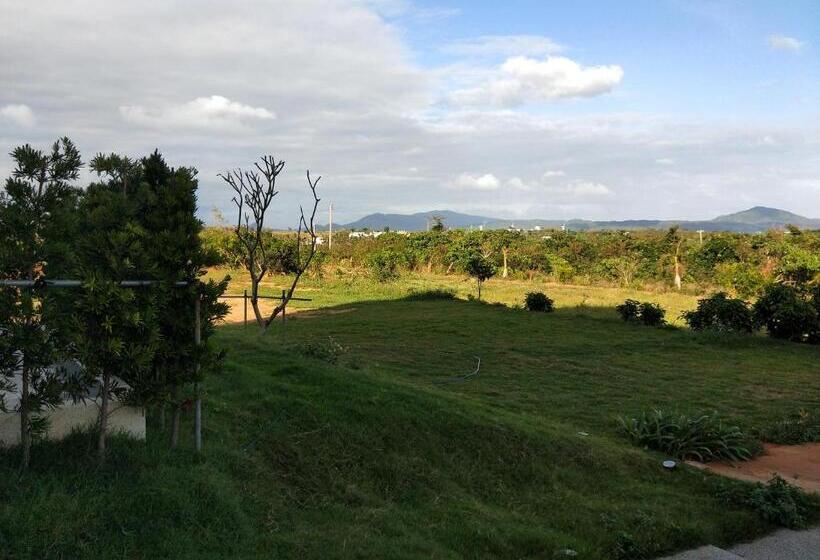 تختخواب و صبحانه Full Moon Resort