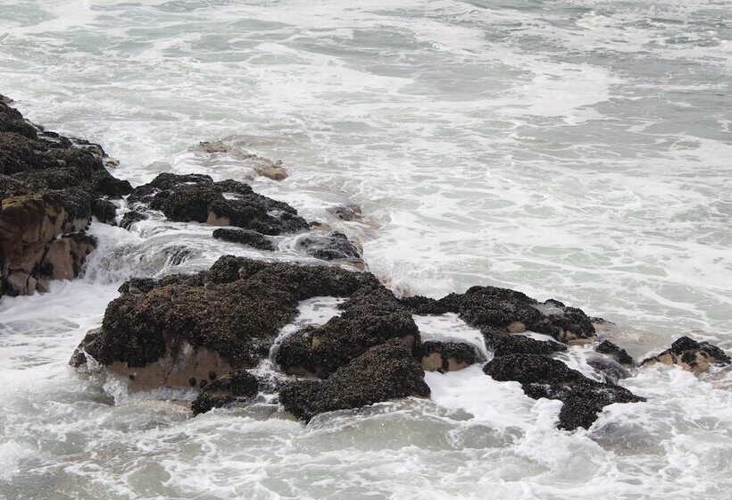 Hostel La Posada De Gallo