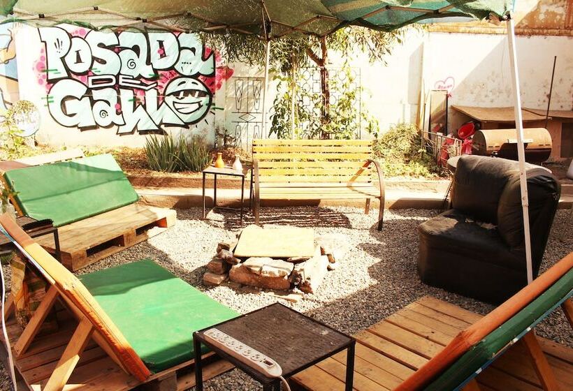 Hostel La Posada De Gallo