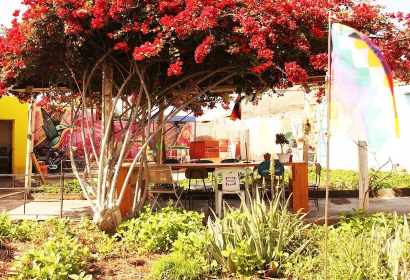 Hostel La Posada De Gallo