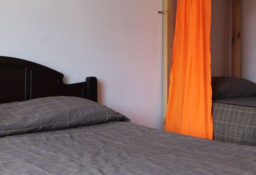 Hostel La Posada De Gallo