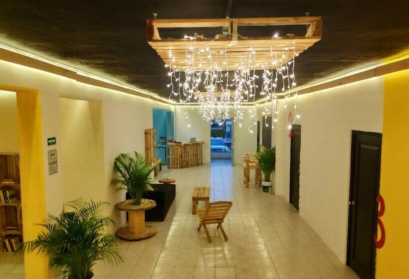 Hostel Morenita Linda