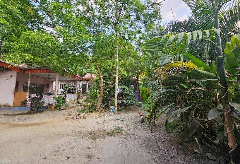 酒店 Harmony Resort, Havelock