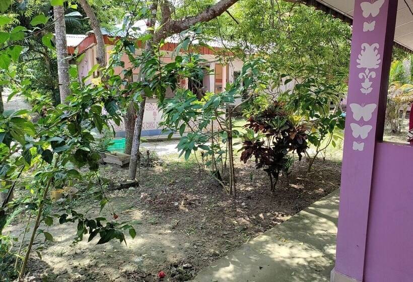 酒店 Harmony Resort, Havelock