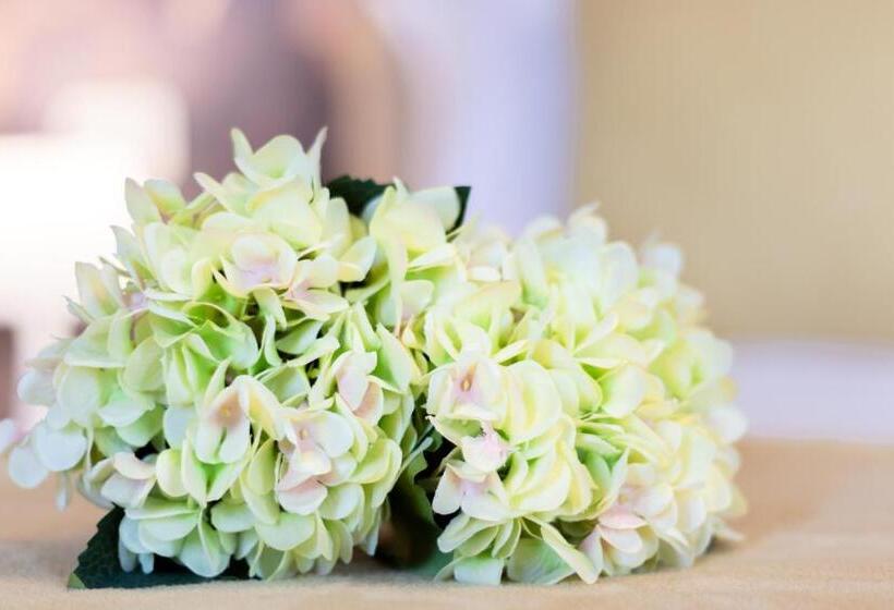 בית מלון כפרי Monteborre