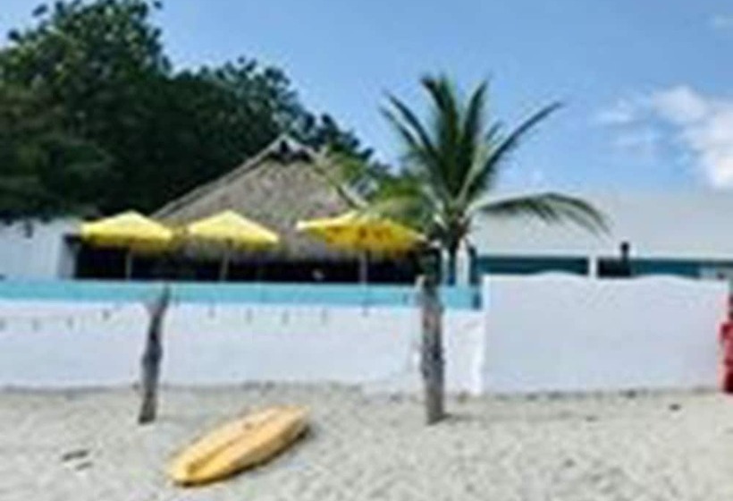 ユースホステル Coconut Blue Panama