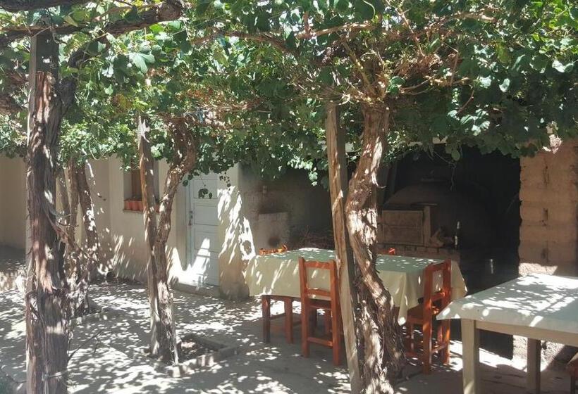 旅馆 Posada El Abuelo