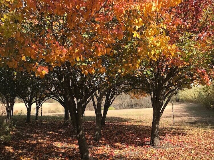 Bed and Breakfast The Plantation House Boutique Inn