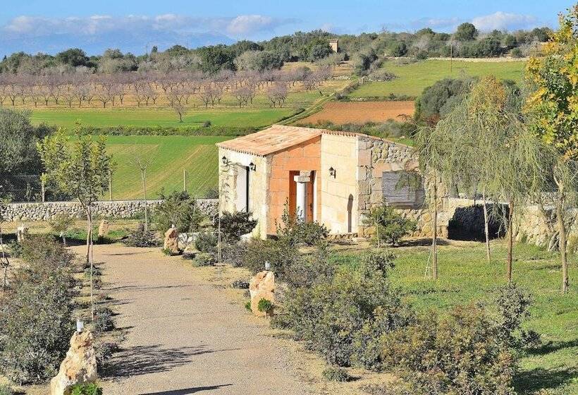 호텔 Agroturisme Es Racó De Maria