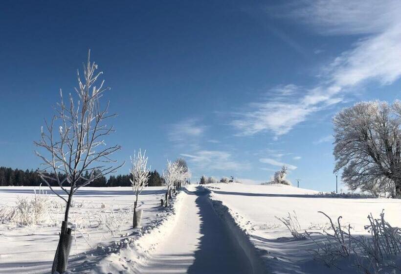 فندق Fontána Lipno