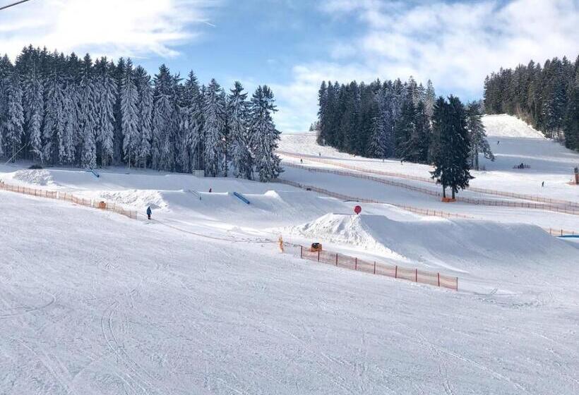 فندق Fontána Lipno