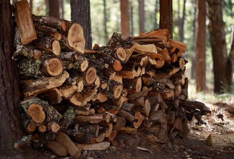 בית מלון כפרי Molinillos Mountain Resort