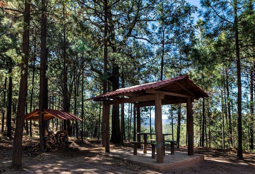 בית מלון כפרי Molinillos Mountain Resort