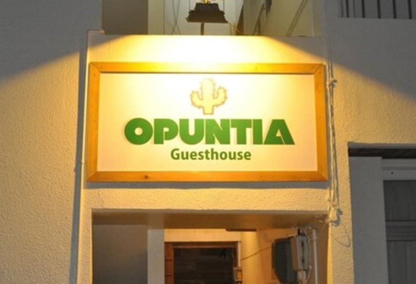 بنسيون 全室個室のゲストハウス オプンティア Guesthouse Opuntia