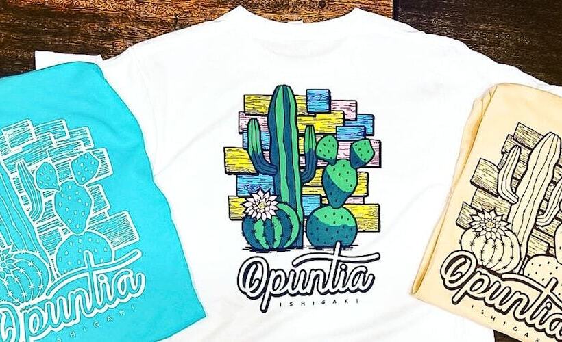 بنسيون 全室個室のゲストハウス オプンティア Guesthouse Opuntia