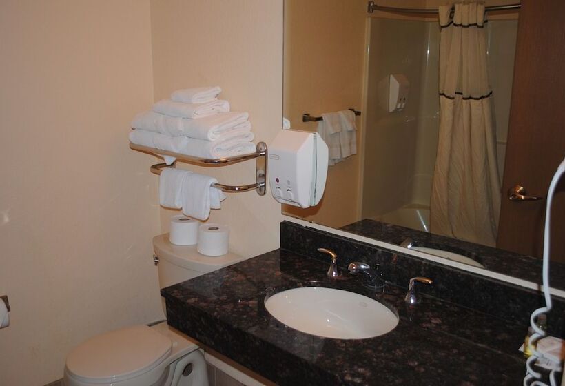 استراحتگاه Wisconsin Dells Area Condominiums