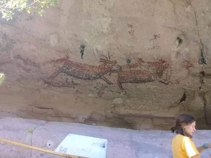 ホテル Cuesta Real