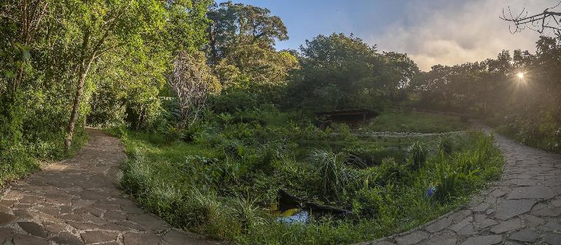 Koora Monteverde A Cloud Forest Hotel By Sandglass