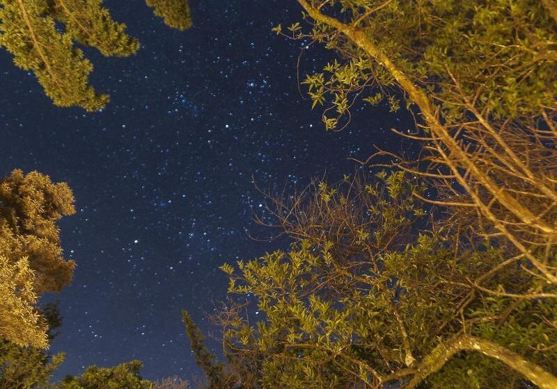 Koora Monteverde A Cloud Forest Hotel By Sandglass