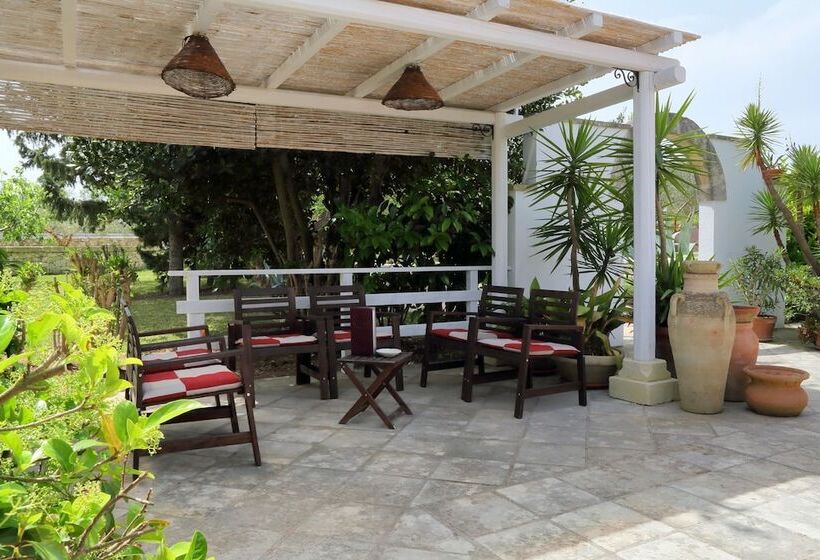 酒店 Masseria L Uliveto Agri Resort