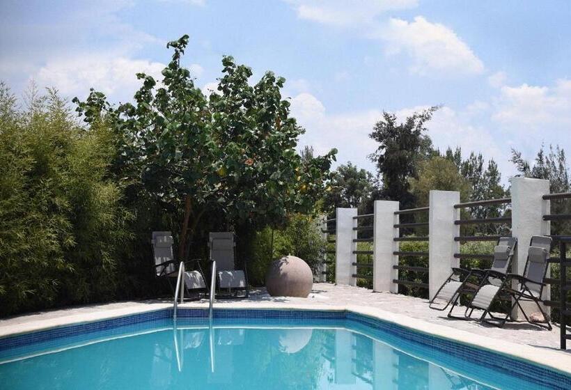 Отель Capital O Plaza Galindo