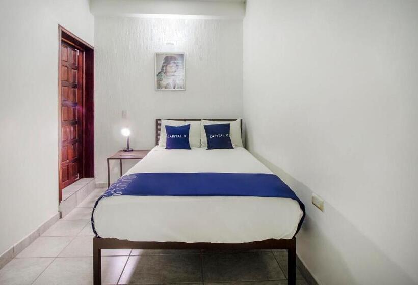 Отель Capital O Plaza Galindo