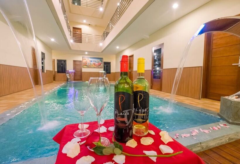 بنسيون Caroline Guest House