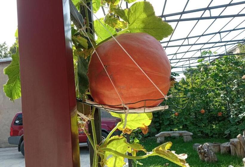 پانسیون Continental