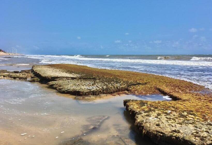 פנסיון Pousada Yemanjá Toré
