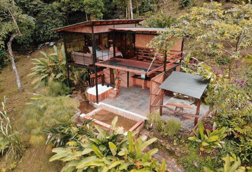 膳宿费 Waira Eco Lodge