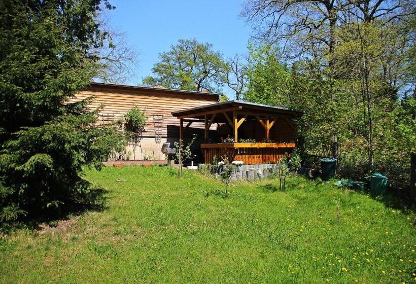 Pension Am Nicolaiplatz