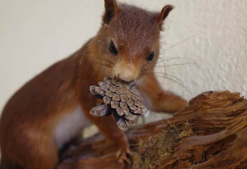 Pension Am Nicolaiplatz