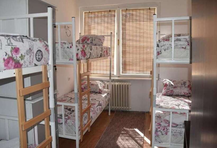 هاستل Exit Labirint Centar