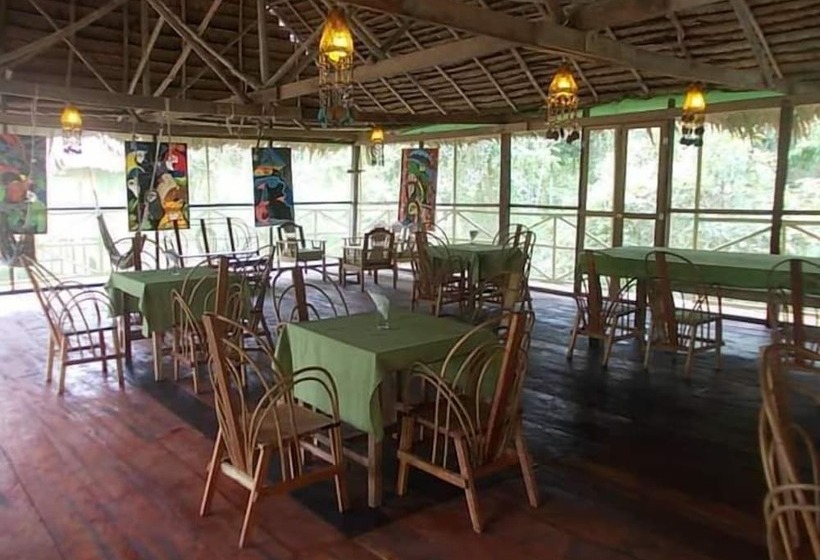 ユースホステル Wimba Jungle Lodge