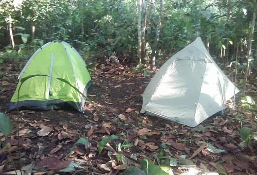 ユースホステル Wimba Jungle Lodge