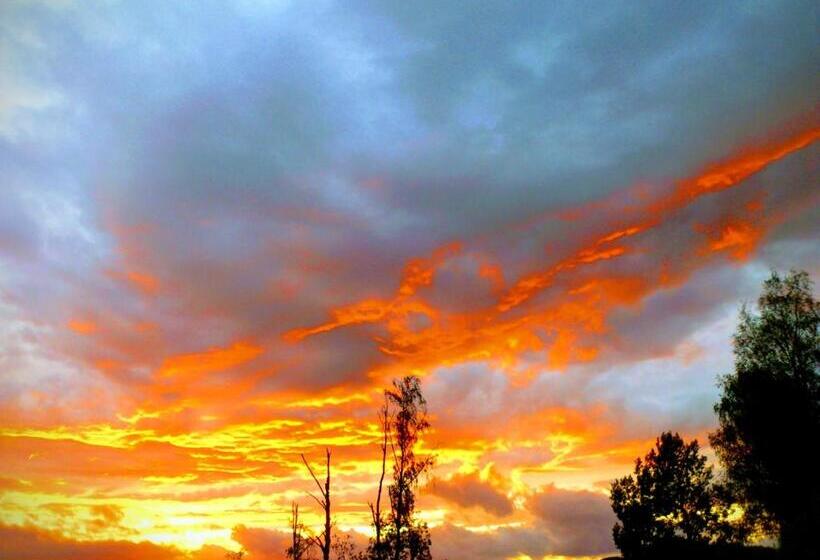 ベッドアンドブレックファースト Affären Må Bra