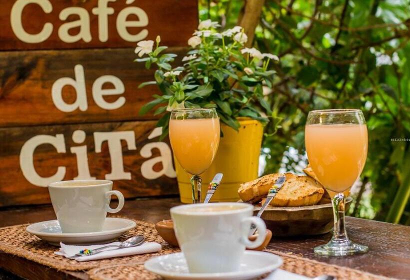 Casa De Arte Citá, Bed And Breakfasts