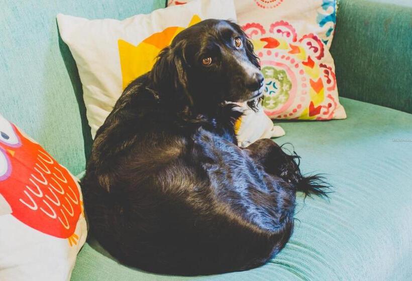 Casa De Arte Citá, Bed And Breakfasts