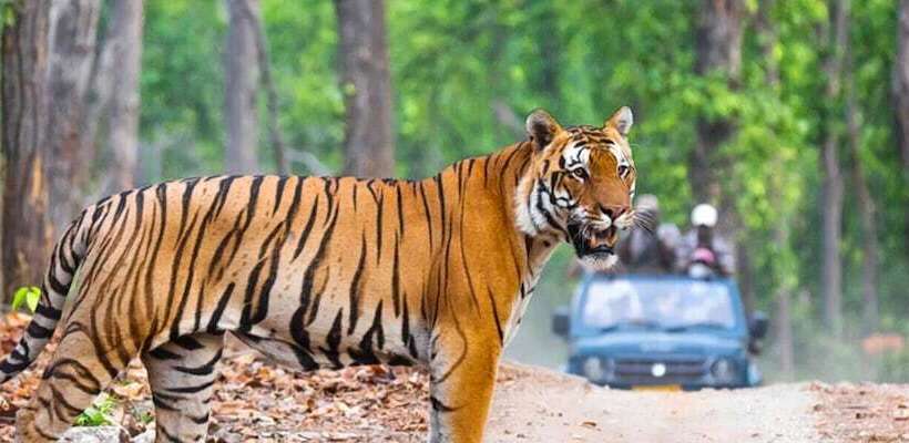 בית מלון כפרי The Darien Resort